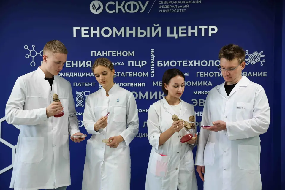 北高加索联邦大学