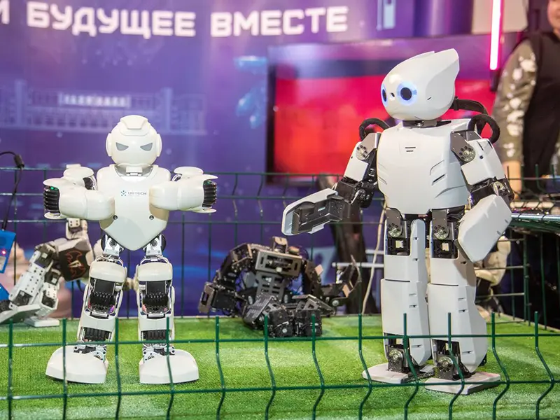 دانشگاه دولتی ولگوگراد