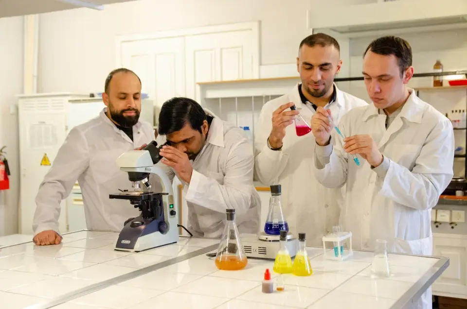 Güney Ural Devlet Üniversitesi (Ulusal Araştırma Üniversitesi)