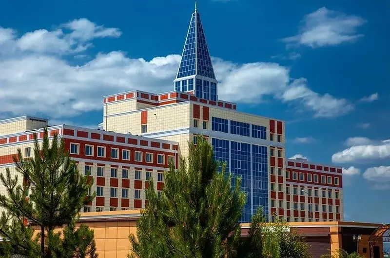 Ingus davlat universiteti