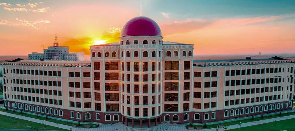 Ingus davlat universiteti