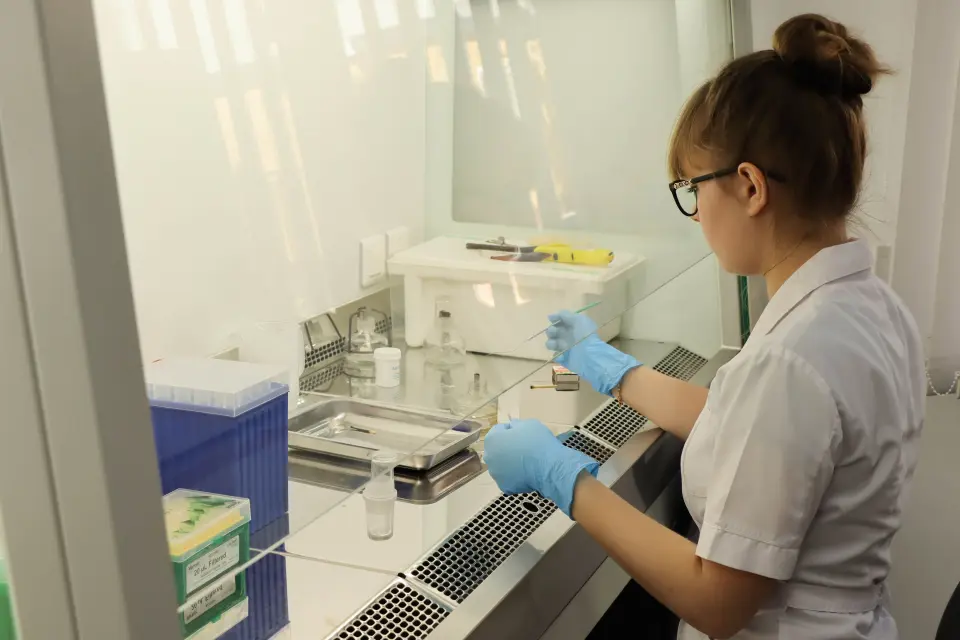 梅科普国立技术大学