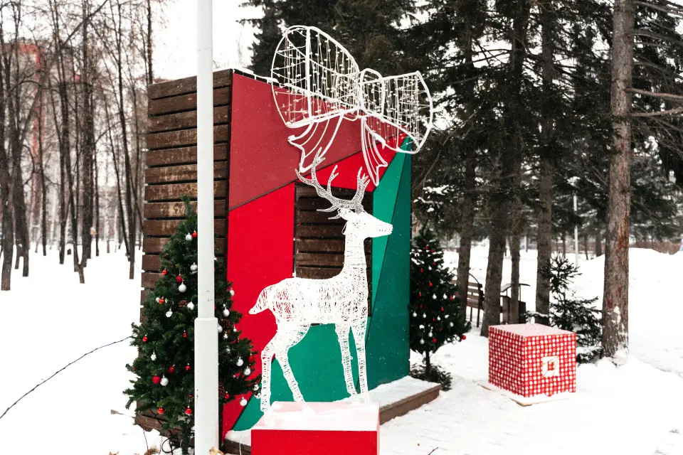 Новосибирск мамлекеттик техникалык университети