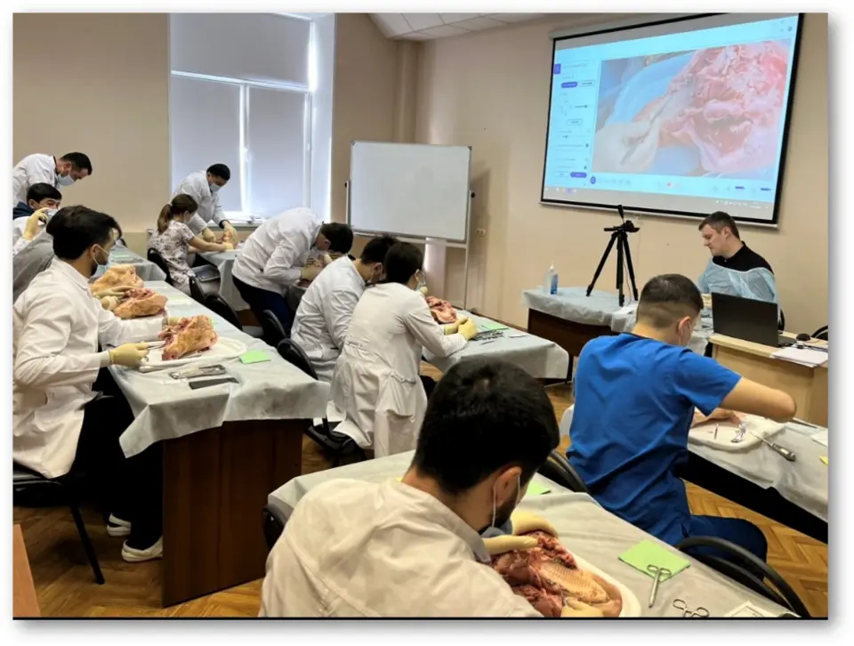 伏尔加研究医科大学