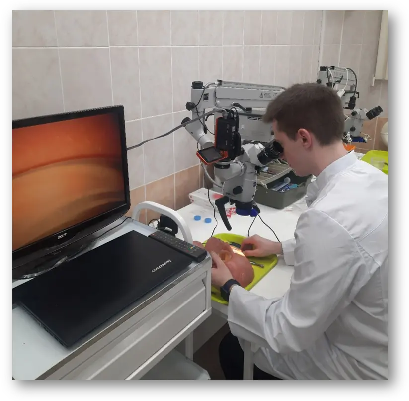 伏尔加研究医科大学