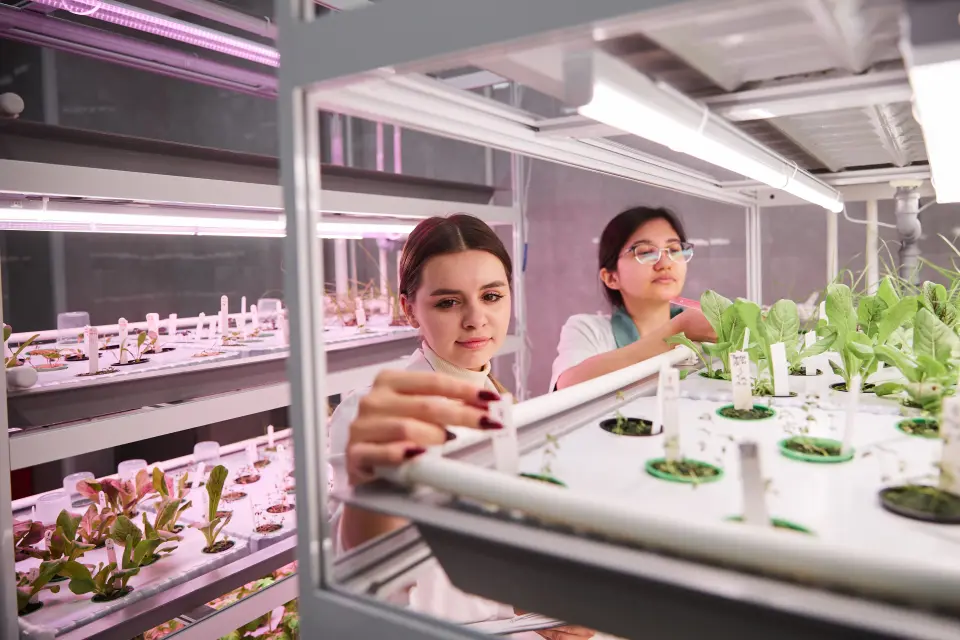 دانشگاه دولتی سورگوت