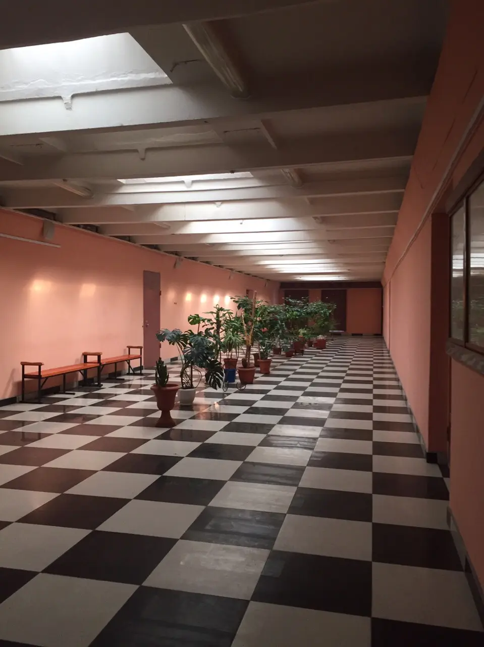 Instituto Electrostal (filial) da Instituição Federal Estadual Autônoma de Ensino Superior "Universidade Politécnica de Moscou"