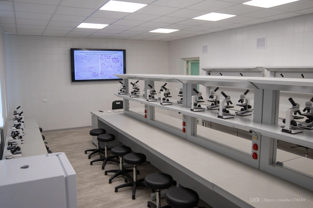 Laboratori didattici