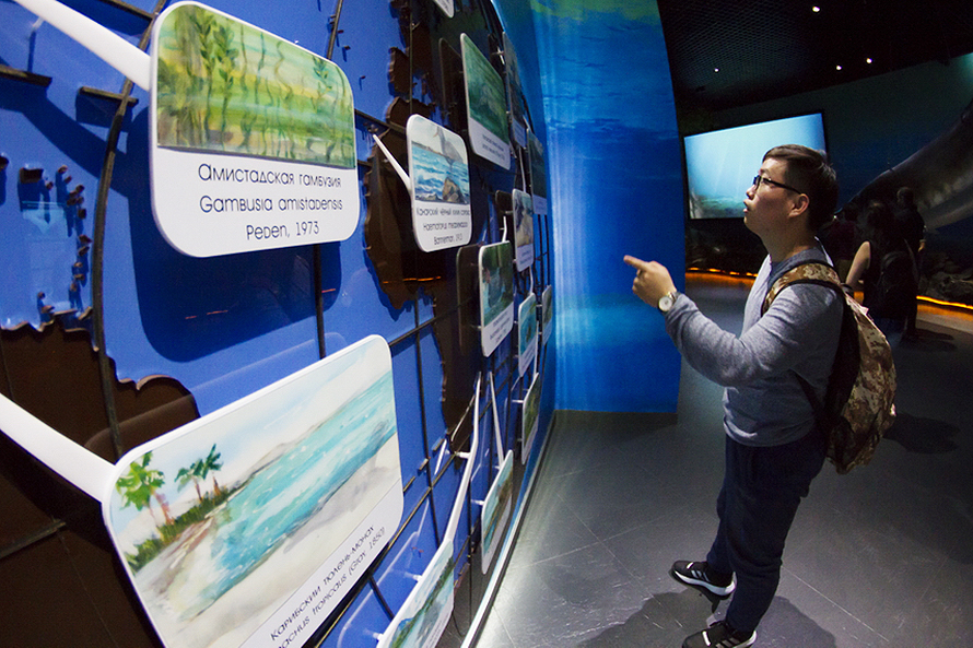 Интерактивные лекции по морской биологии посетили иностранные студенты ДВФУ